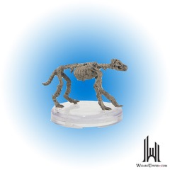 Wolf Skeleton #14